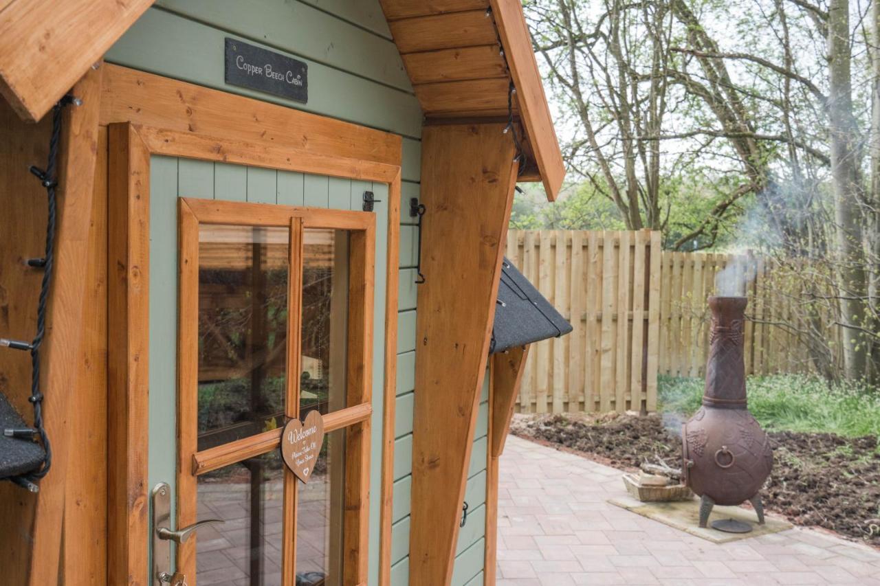 Cozy Carluke Lodge Retreat Zewnętrze zdjęcie
